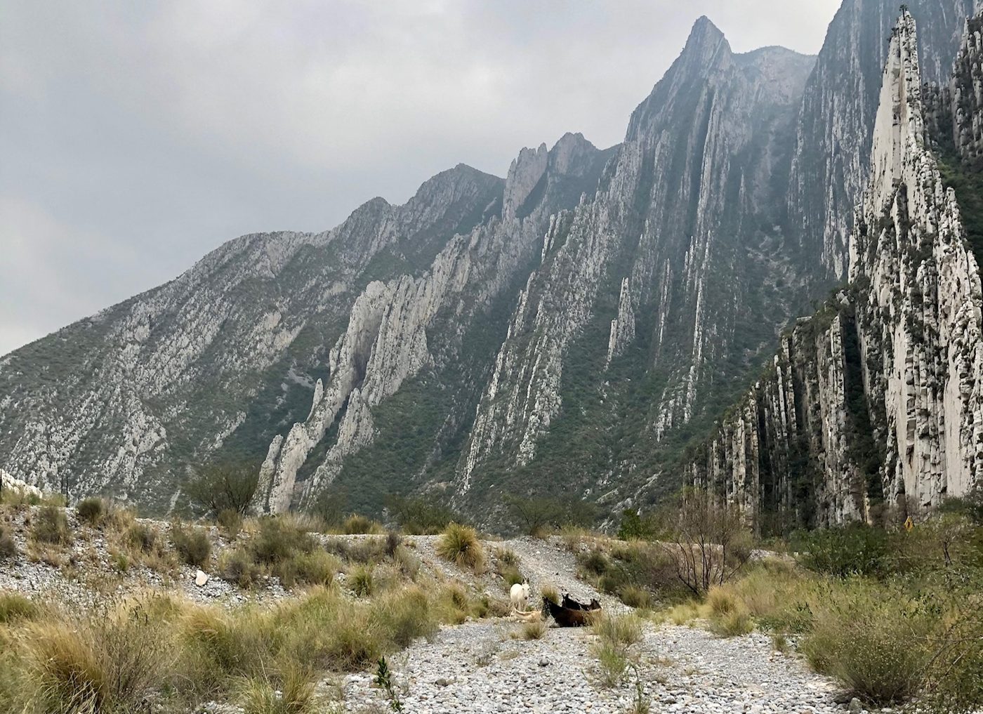La Huasteca Mexico Rock Climbing